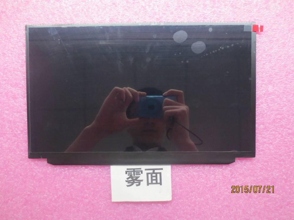 Lenovo ThinkPad X250 LCD PANELS - 00HM745
