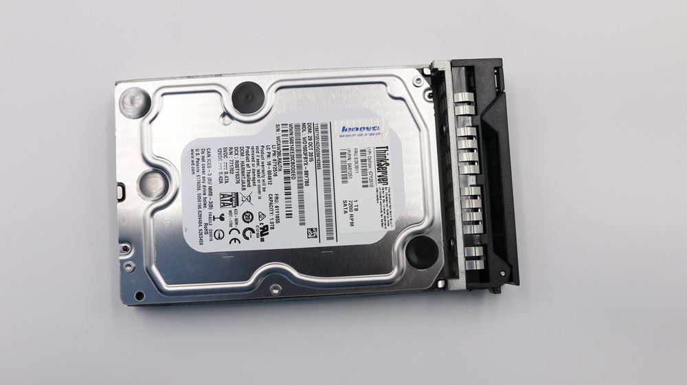 Lenovo Tower Server - TS430 (ThinkServer) HARD DRIVES - 03X3911