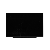 Lenovo L13 Gen 6 (21R5, 21R6) Laptops (ThinkPad) LCD PANELS - 5D11Q34037