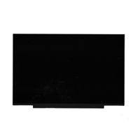 Lenovo L13 Gen 6 (21R5, 21R6) Laptops (ThinkPad) LCD PANELS - 5D11Q34042