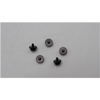 Lenovo ThinkEdge SE10 KITS SCREWS AND LABELS - 5M11L47152
