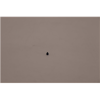 Lenovo Yoga 7 14IAL7 KITS SCREWS AND LABELS - 5S10S35412