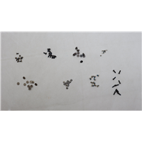 Lenovo Legion 9 16IRX8 KITS SCREWS AND LABELS - 5S10S35599