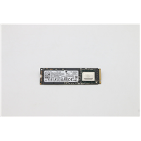 Lenovo ThinkPad T14s (20UH, 20UJ) Laptop SOLID STATE DRIVES - 5SS0W79497