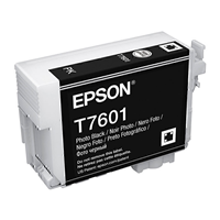 Epson 760 Photo Black Ink Cart - C13T760100 for Epson SureColor SC P600 Printer