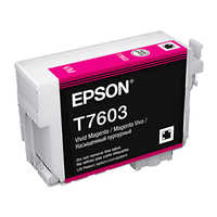 Epson 760 Vivid Mag Ink Cart - C13T760300 for Epson SureColor SC P600 Printer