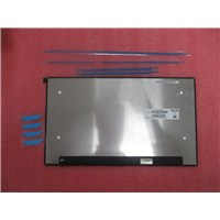 HP ProBook 455 15.6 G9 Laptop (7J0P1AA) Display N50576-001
